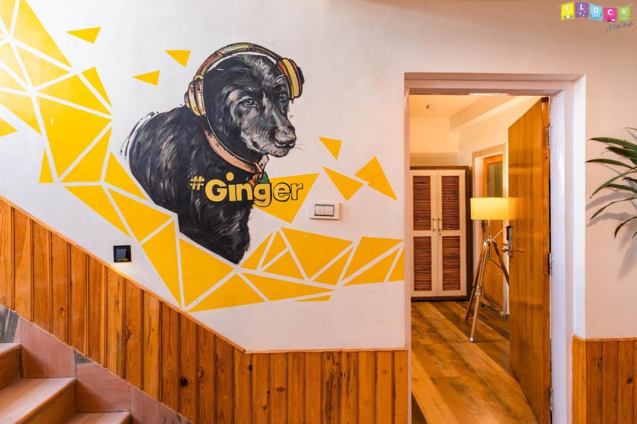 Hostel Flock Káthmándú Exteriér fotografie